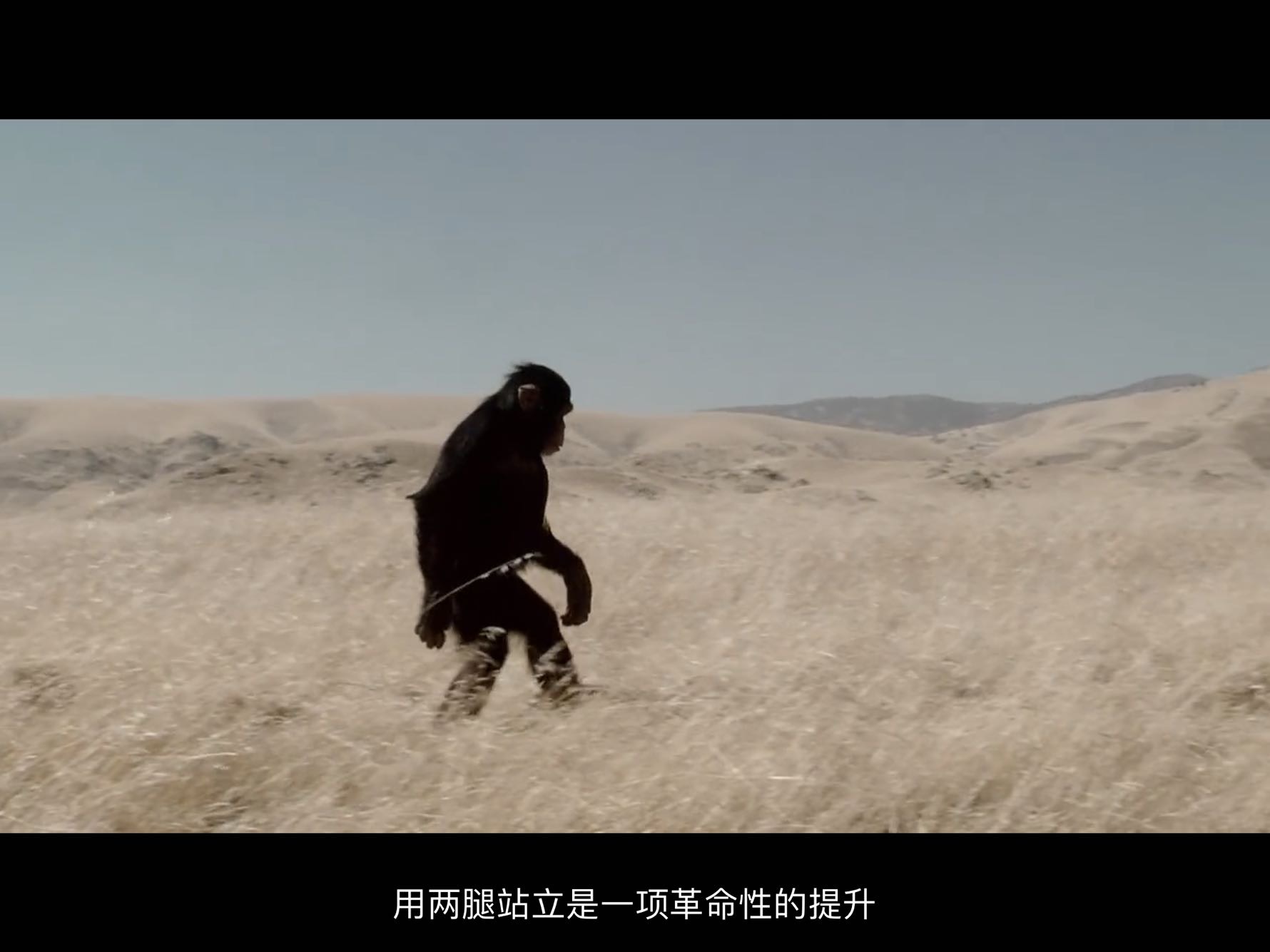 BD93E5B2-C535-47F3-B3A0-CB11344A8841.jpeg