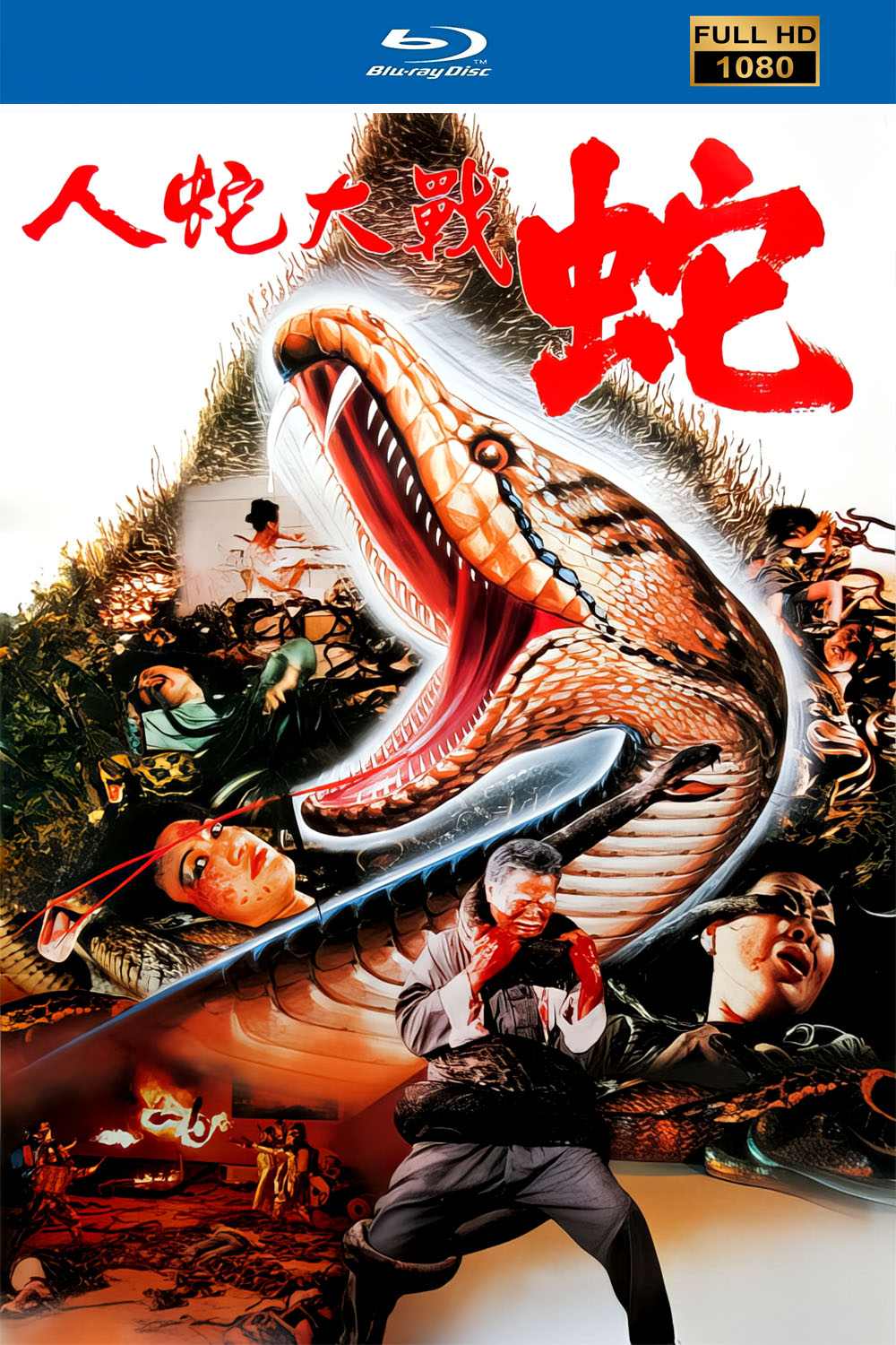 海报.jpg