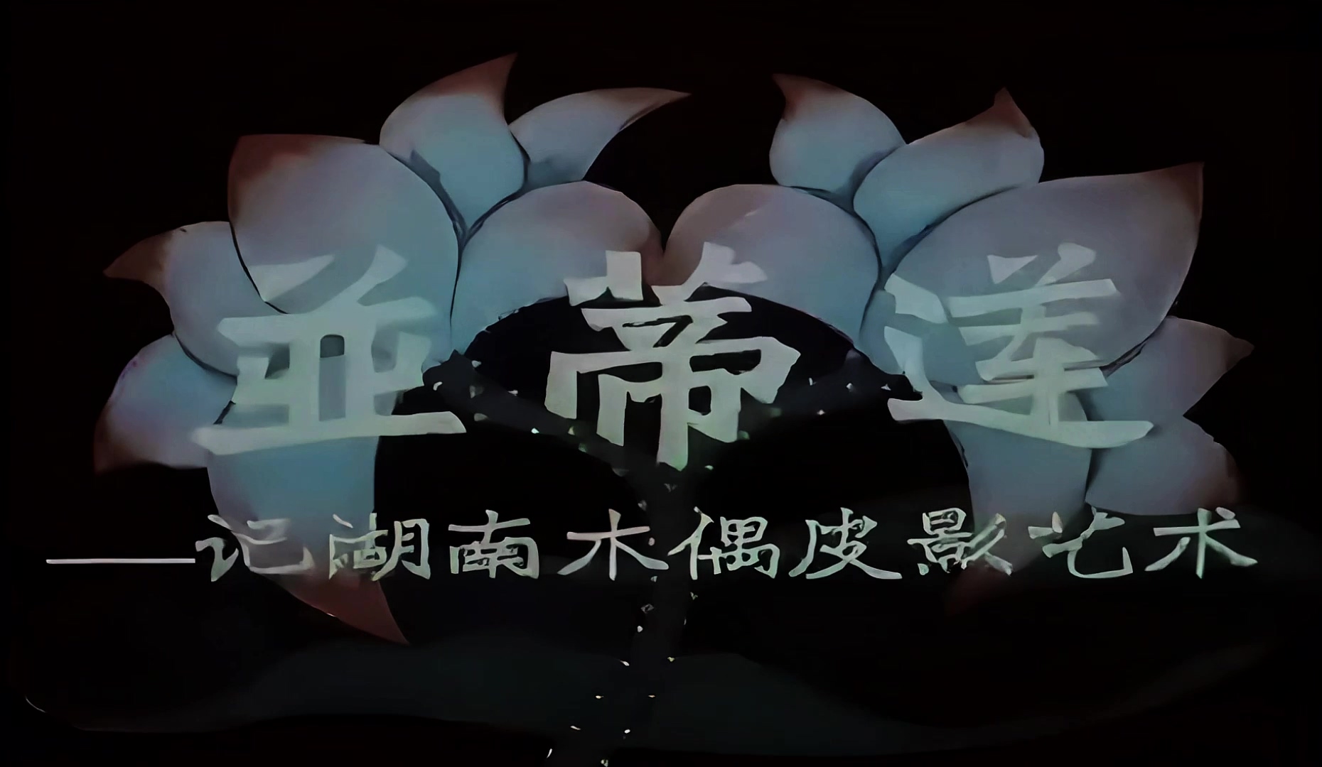 1958.并蒂莲.mp4_20241018_140139.045.jpg