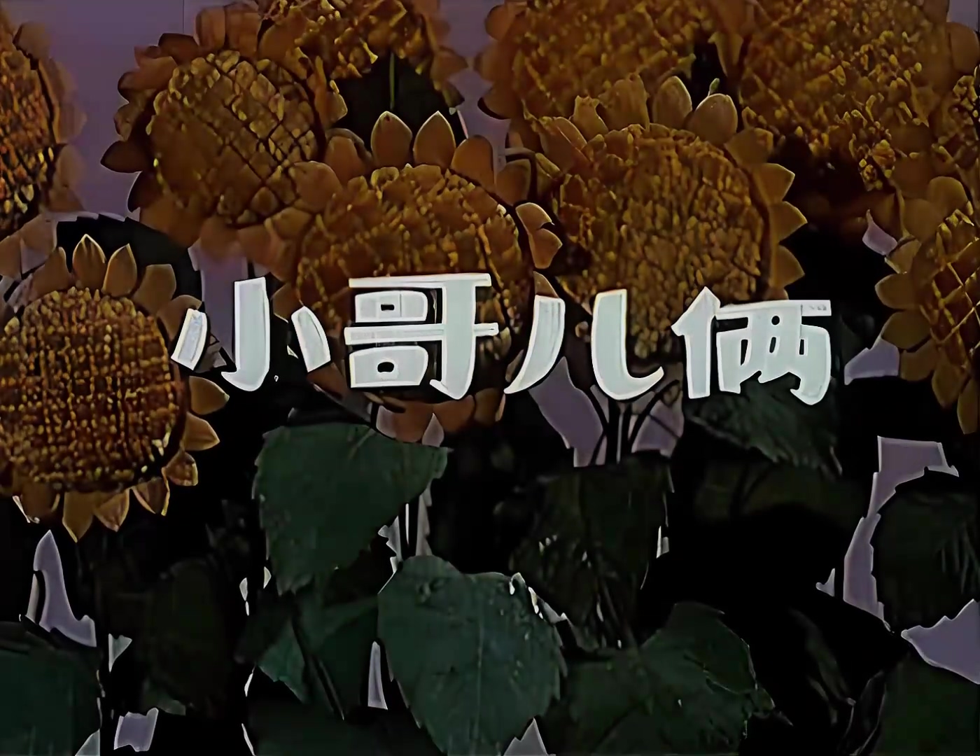 1965.小哥俩.mp4_20241021_010423.481.jpg