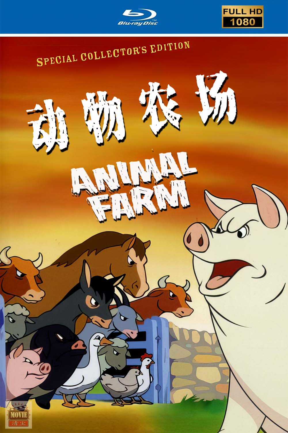 海报.jpg
