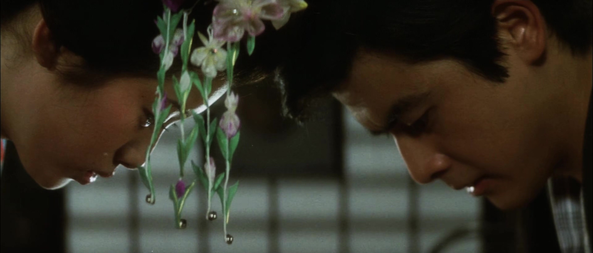 伊豆的舞女.mkv_20250210_175327.205.jpg
