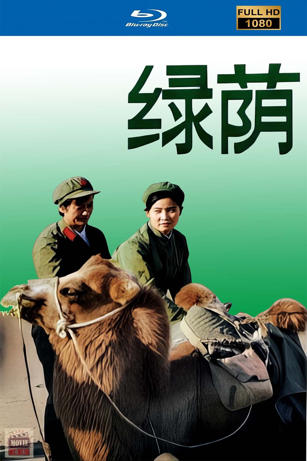 海报.jpg