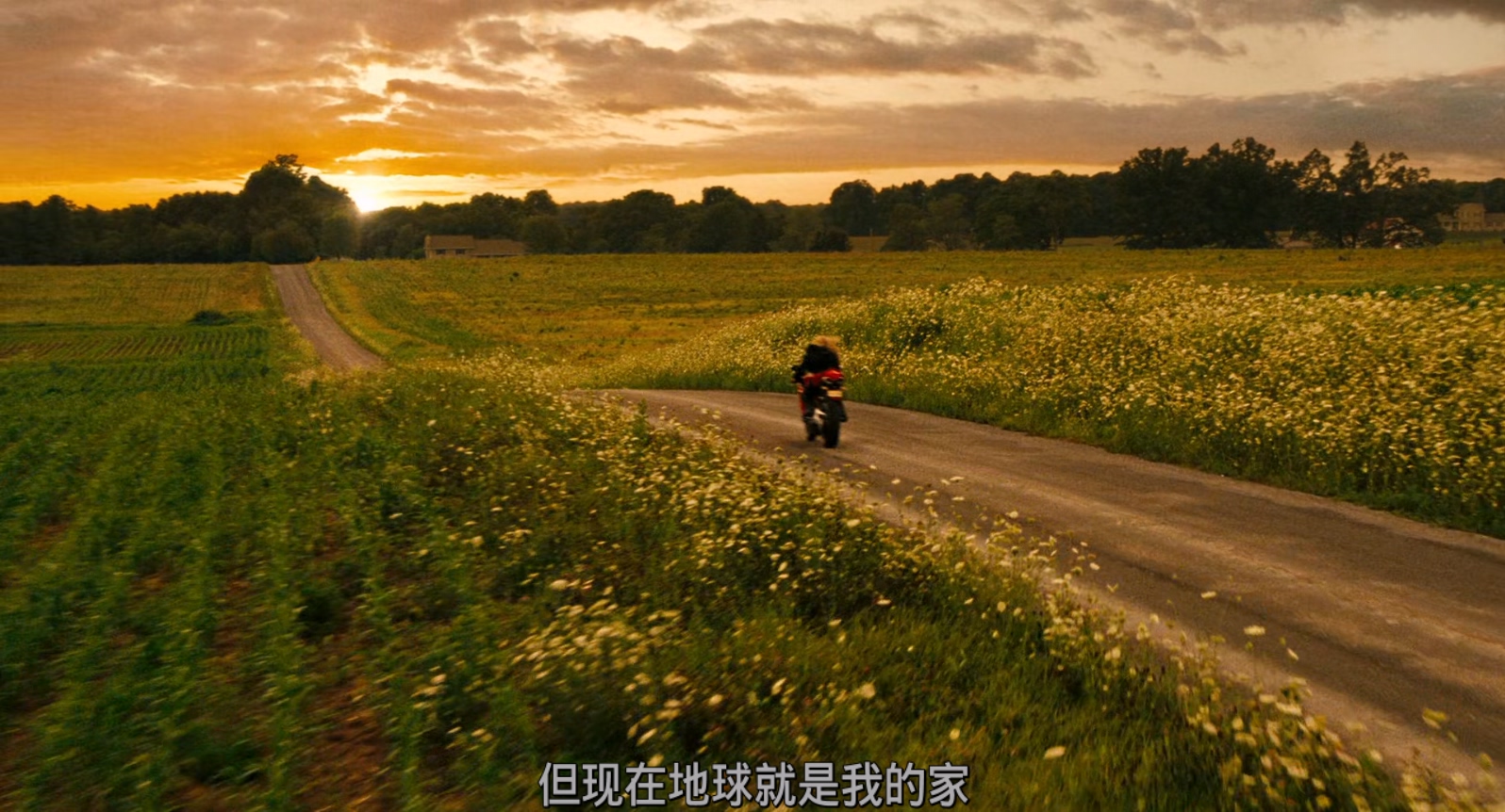 关键第四号.I.Am.Number.Four.2011.1080p.BluRay.x265.2audio-RARBG特效字幕.mkv_2025.jpg