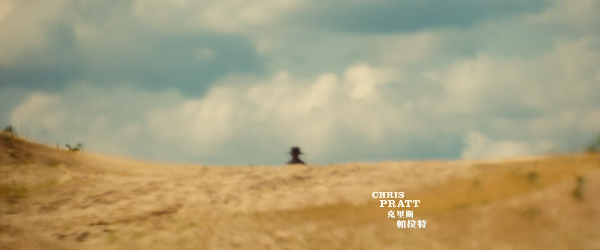 豪勇七蛟龙.The.Magnificent.Seven.2016.1080p.10bit.BluRay.x265.2audio.HEVC-PSA特.jpg