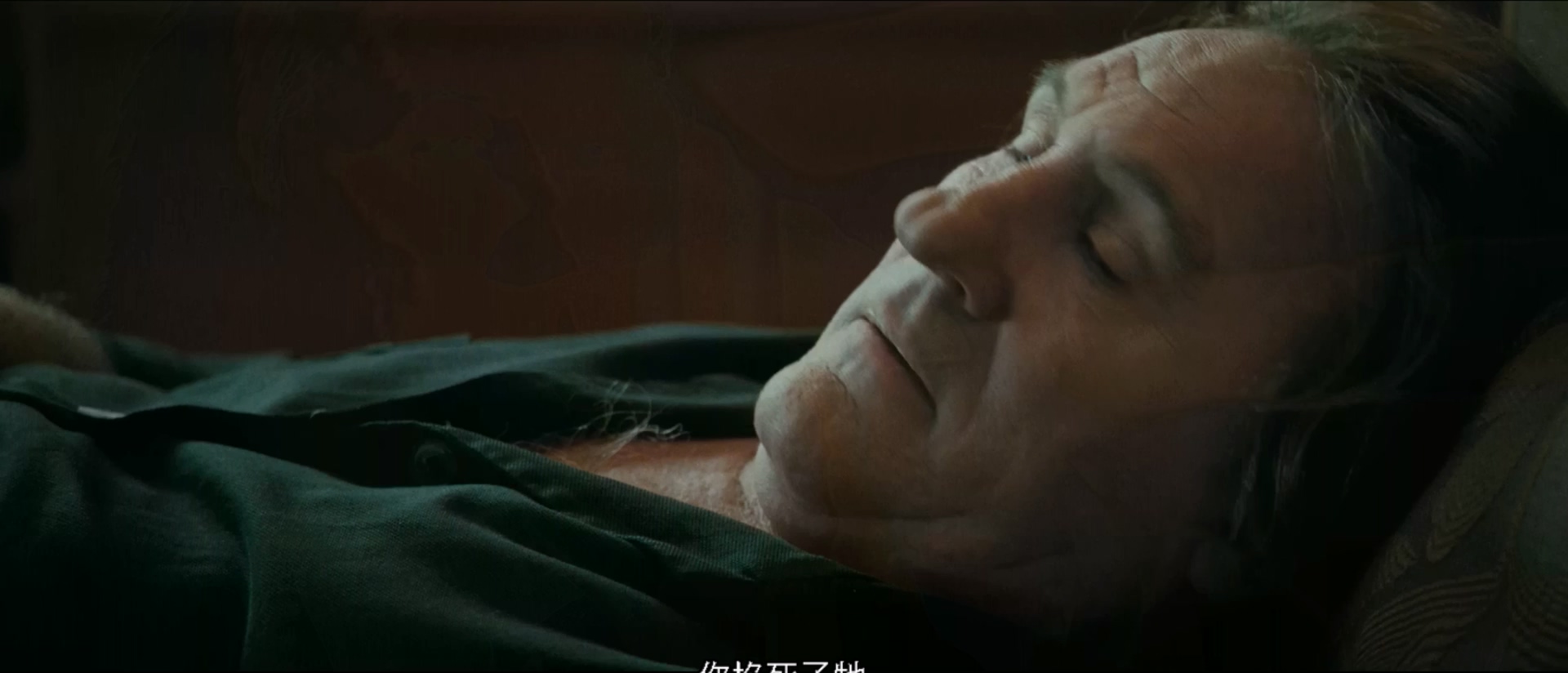 微观世界.Je.N.ai.Rien.Oublie.2010.1080p.BluRay.384kbps央视国英双语中字.mkv_20250.jpg