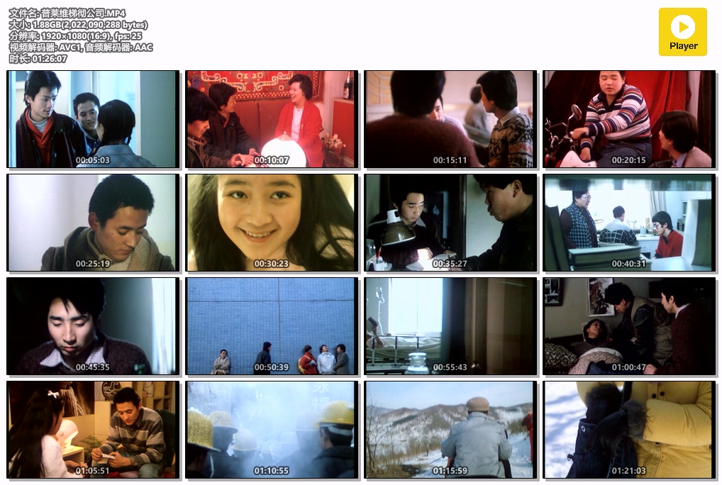 普莱维梯彻公司.MP4.jpg