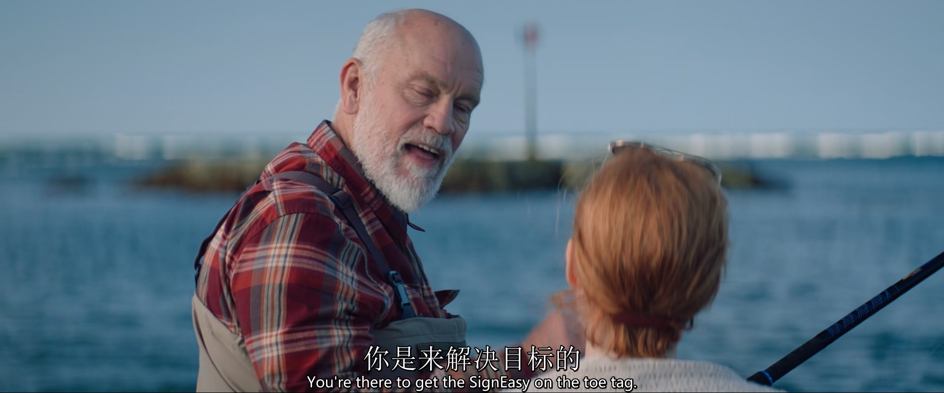 艾娃.Ava.2020.1080p.10bit.BluRay.6CH.x265.HEVC.2audio-PSA.mkv_20250427_105610.291.jpg