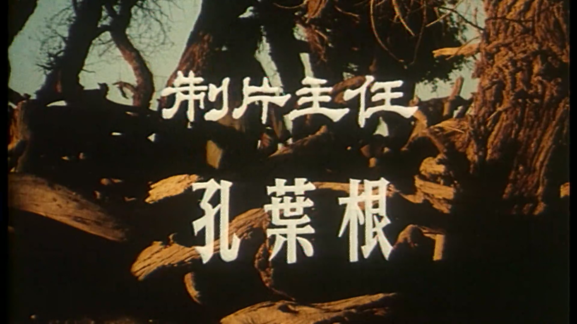 荒漠中的狮子.mp4_20250427_122208.115.jpg