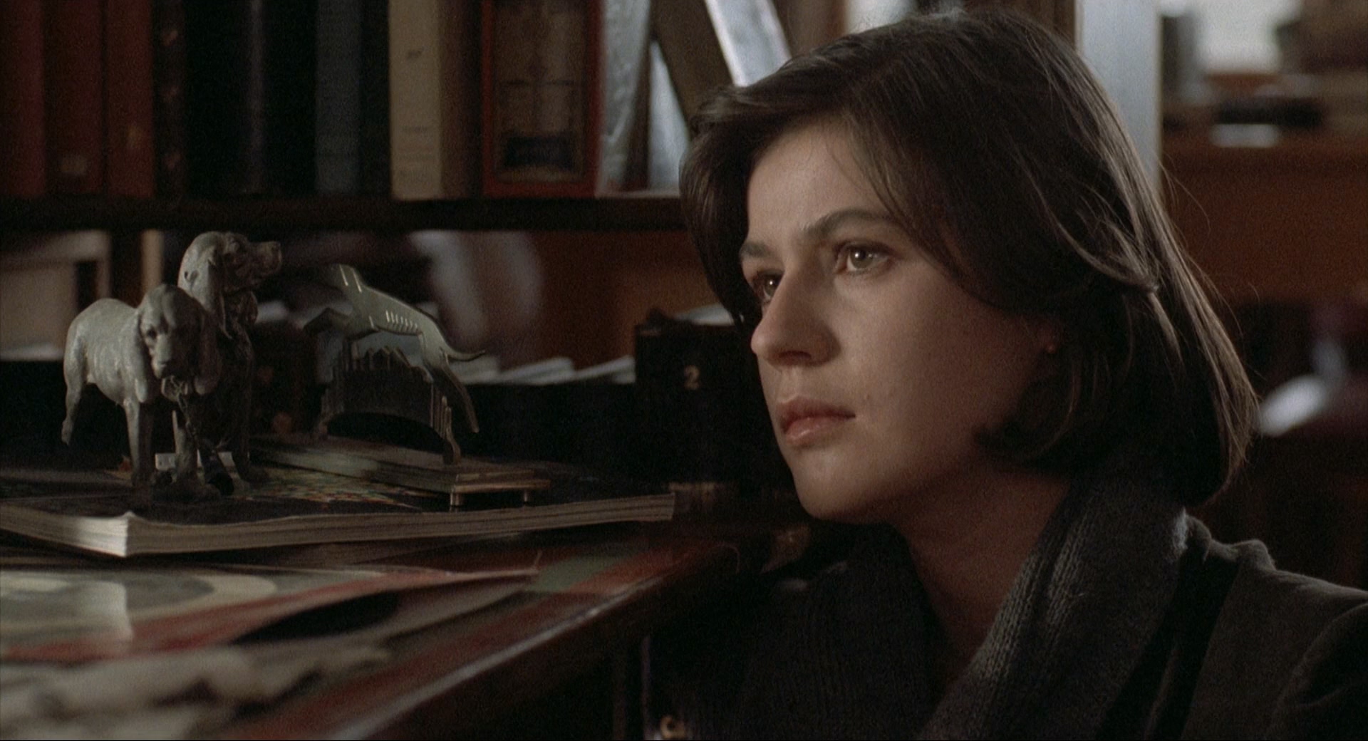 [蓝白红三部曲之红].Three.Colors.Red.1994.CC.1080p.BluRay.x264.DTS.3Audios-CMCT.m.jpg