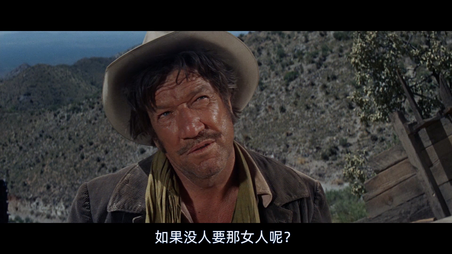 野狼.1967.BD1080P.AAC.H264.CHS.BT世界网.[www.btsj6.com].mp4_20250427_004643.374.jpg