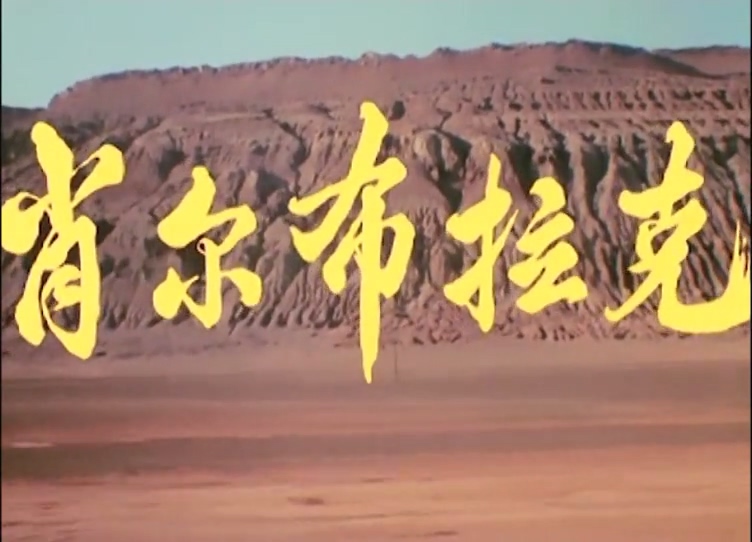 肖尔布拉克.上影.1984.mp4_20250428_001548.669.jpg