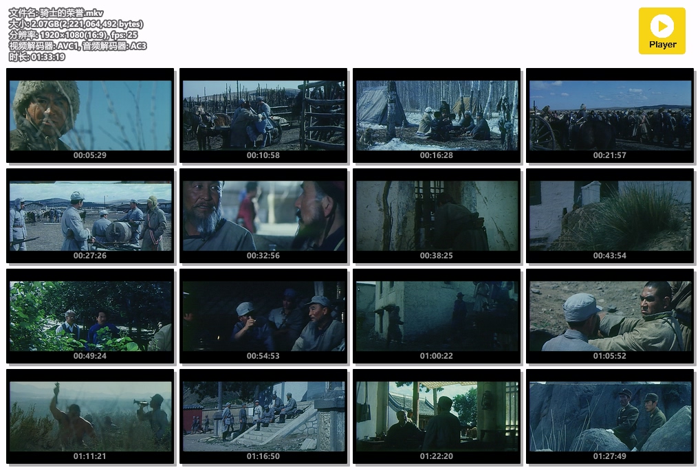 骑士的荣誉.mkv.jpg