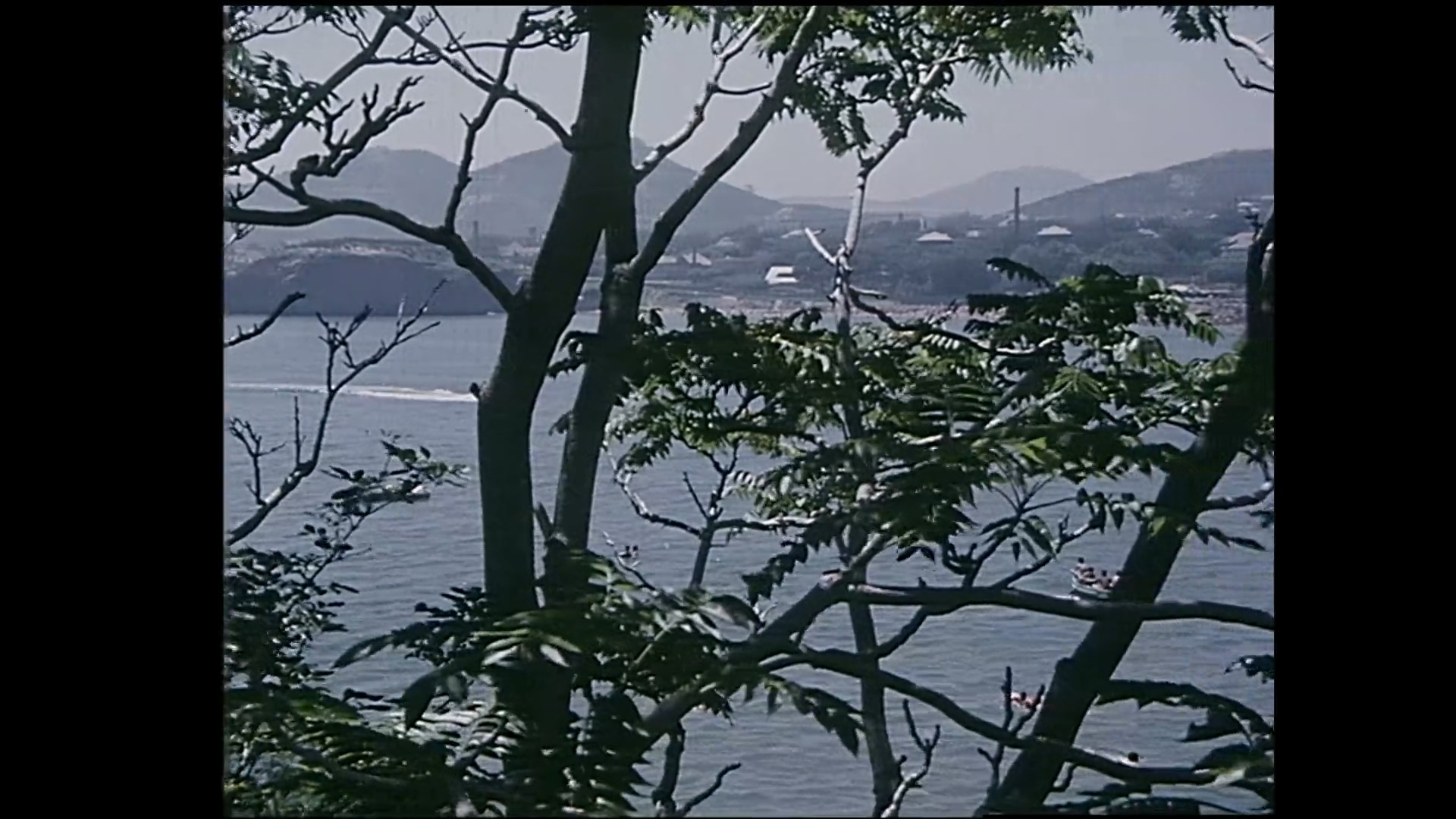 水晶心.mp4_20250429_201135.109.jpg