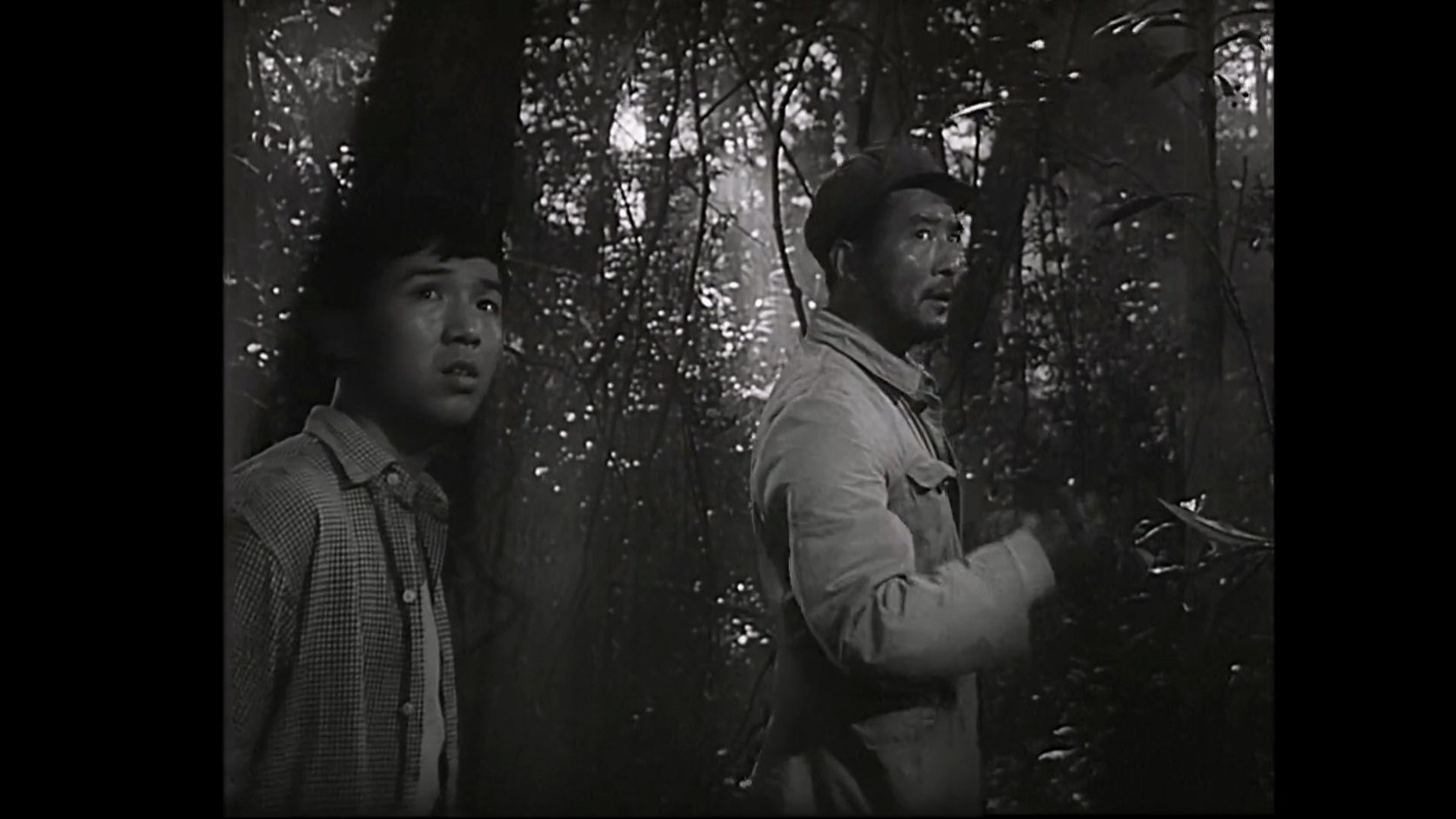 青山恋.MKV_20250430_113827.635.jpg