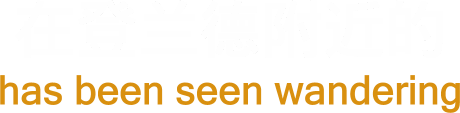 Image856.png