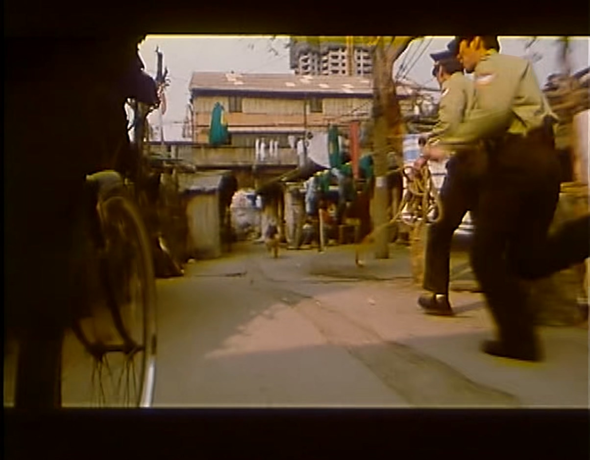 犬杀.MP4_20250503_112329.789.jpg