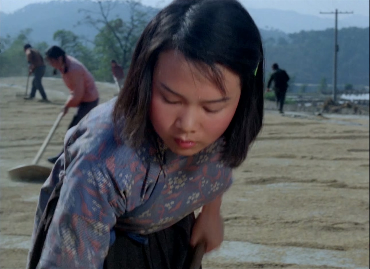 山道弯弯.MP4_20250506_111709.792.jpg