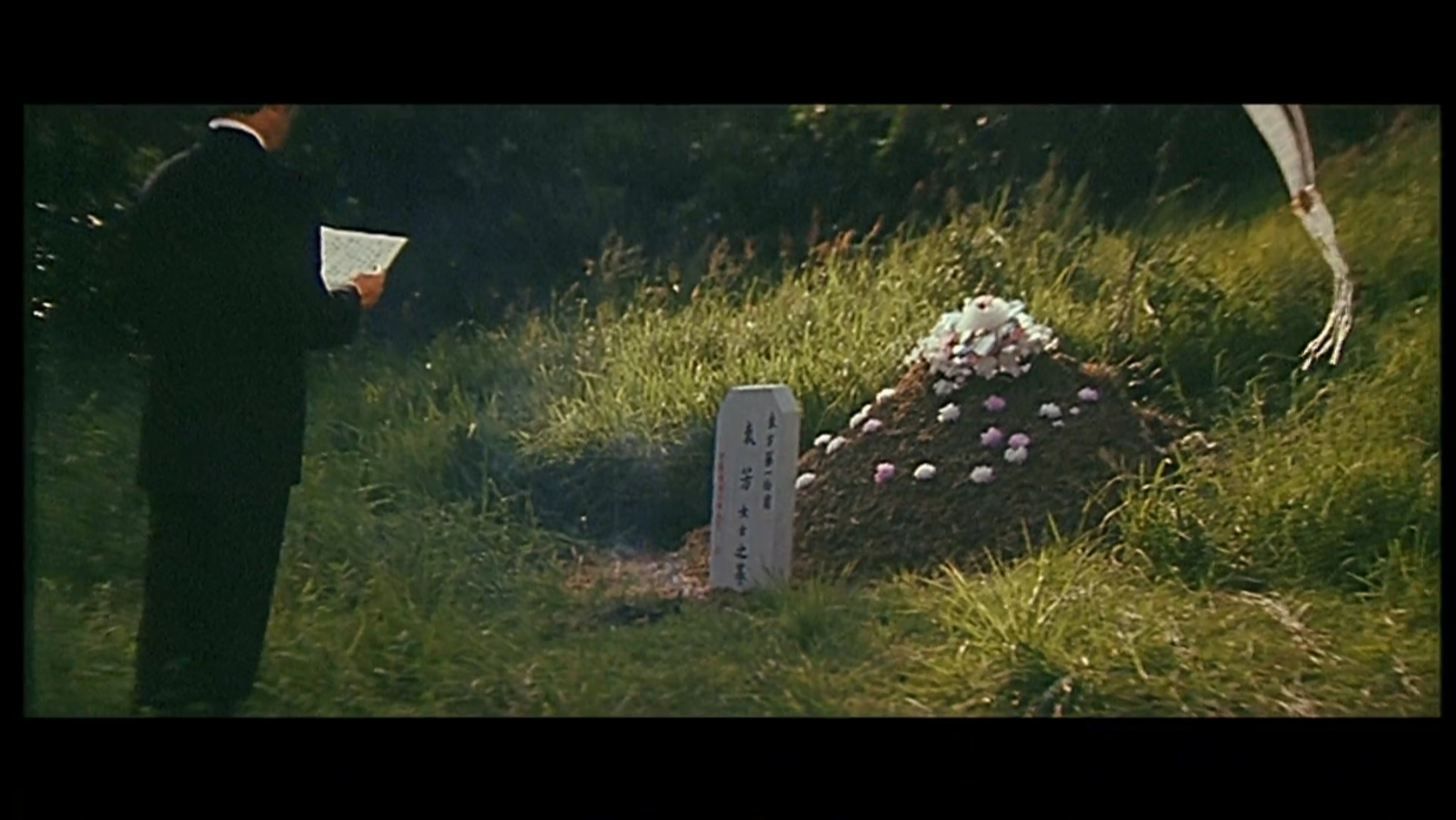 神猫与铁蜘蛛.mkv_20250507_115653.618.jpg