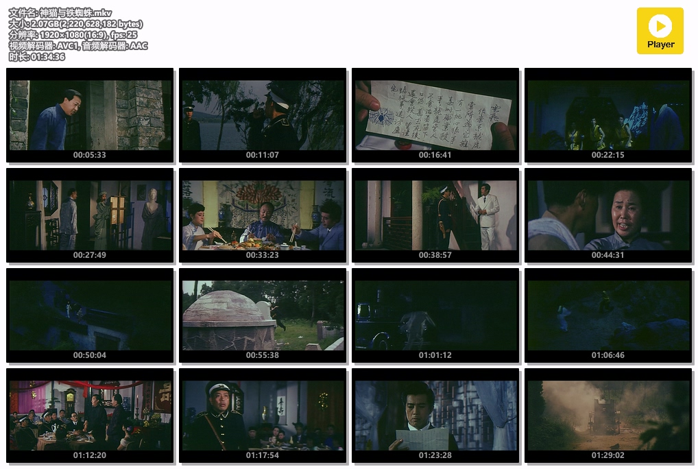 神猫与铁蜘蛛.mkv.jpg