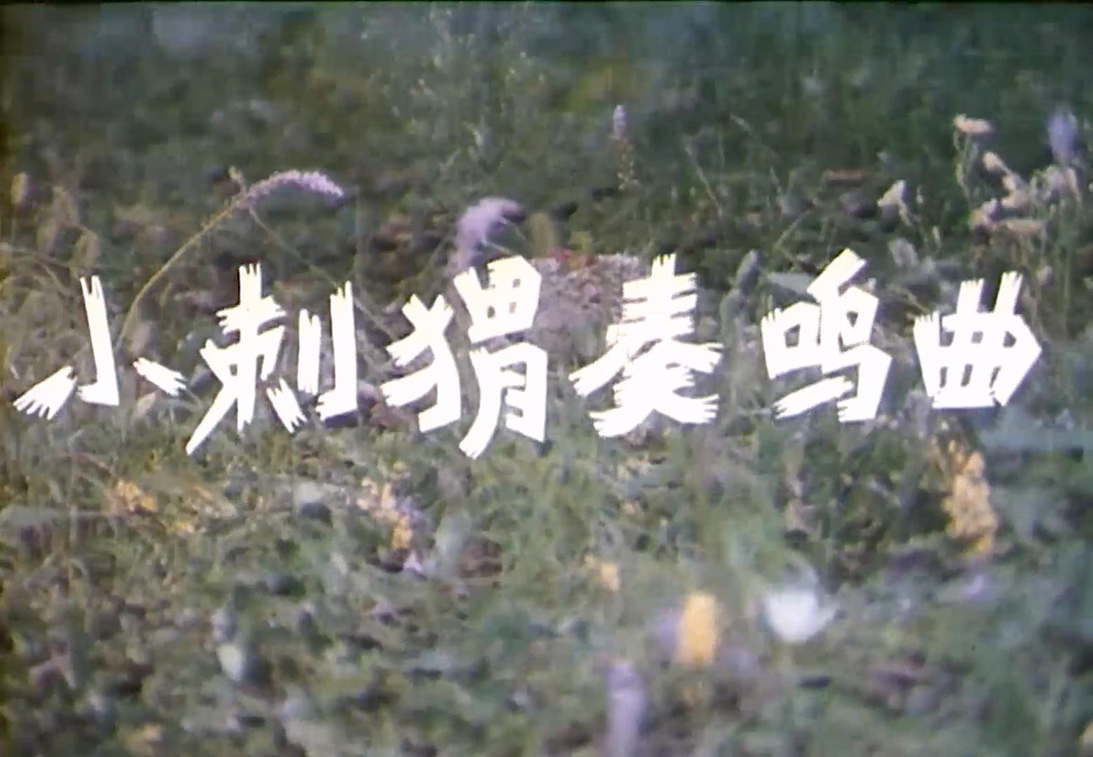 小刺猬奏鸣曲.mp4_20250507_221041.344.jpg