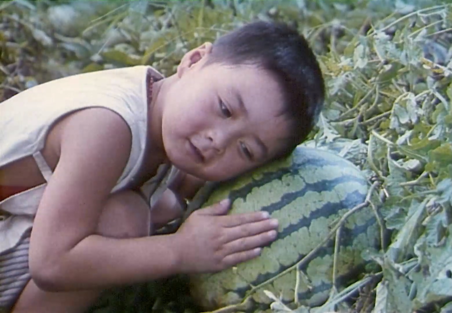 小刺猬奏鸣曲.mp4_20250507_221128.064.jpg