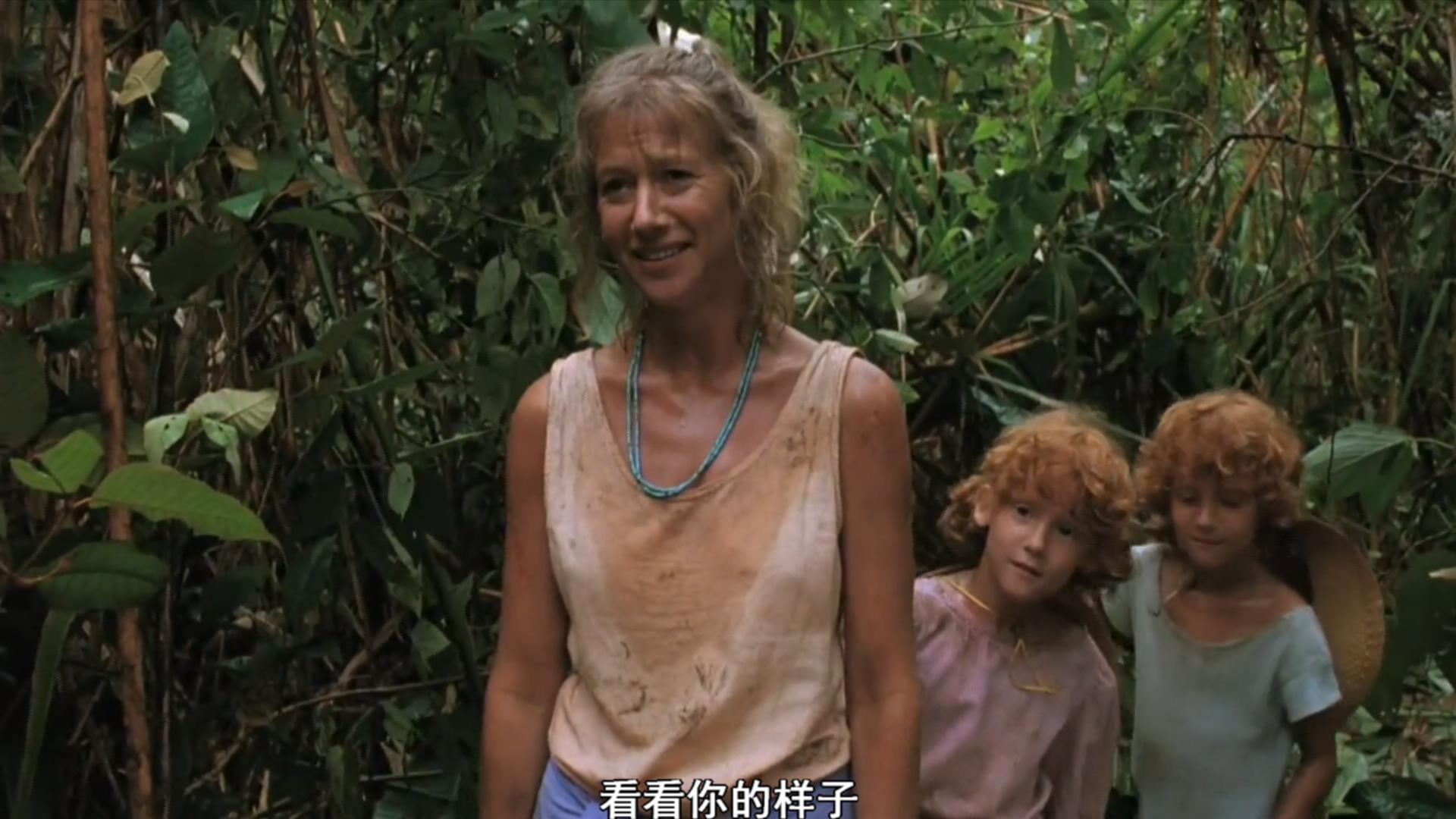 蚊子海岸.The.Mosquito.Coast.1986.国语配音中字.1080p.BluRay.x264.YIFY.mkv_2025032.jpg