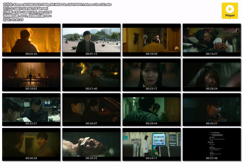 Karma.S01E06.2025.1080p.NF.WEB-DL.x264.DDP5.1.Atmos-ZeroTV.mkv.jpg