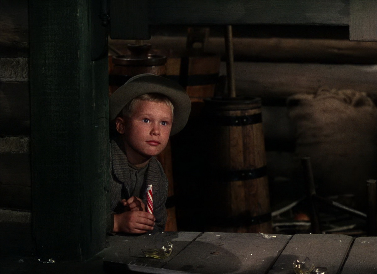 原野奇侠.Shane.1953.BluRay.1080p.HEVC.10bit-MOMOHD.mkv_20250517_160514.715.jpg