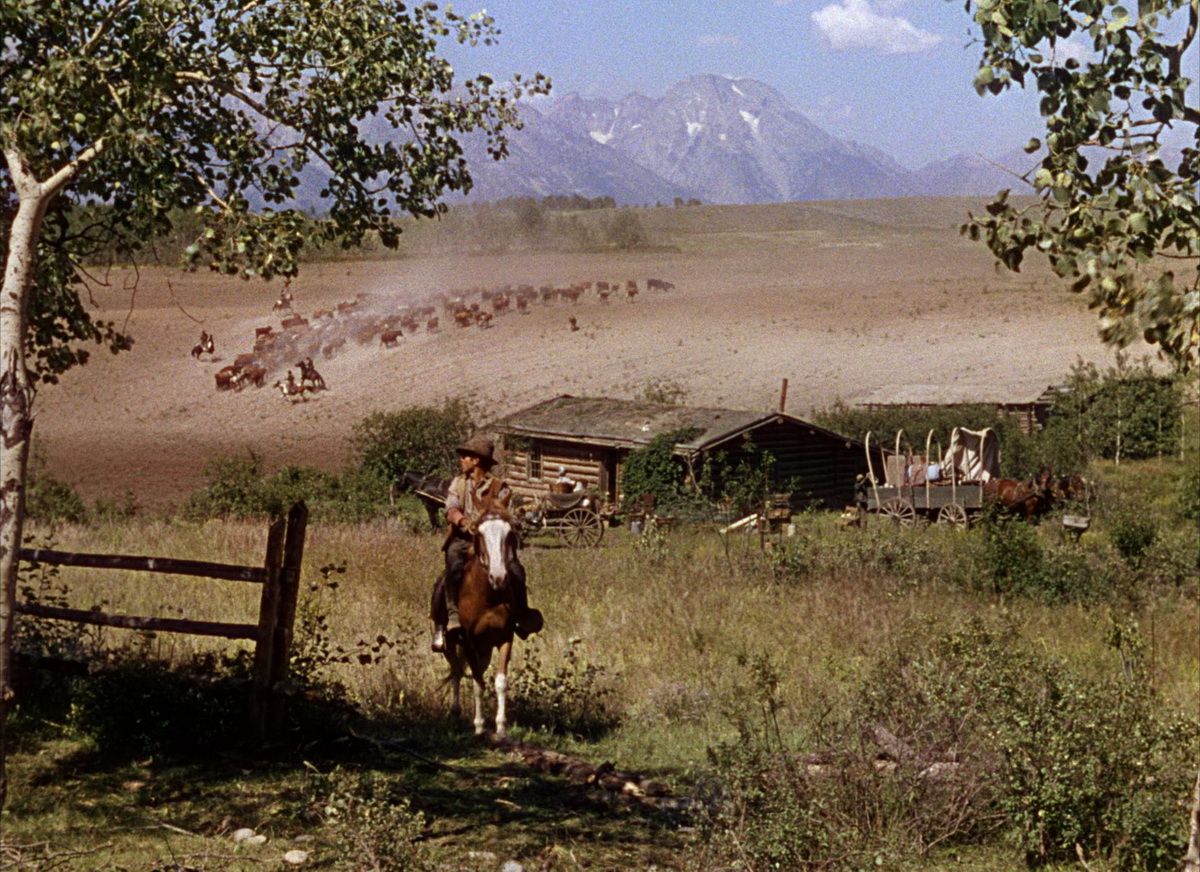 原野奇侠.Shane.1953.BluRay.1080p.HEVC.10bit-MOMOHD.mkv_20250517_160527.595.jpg
