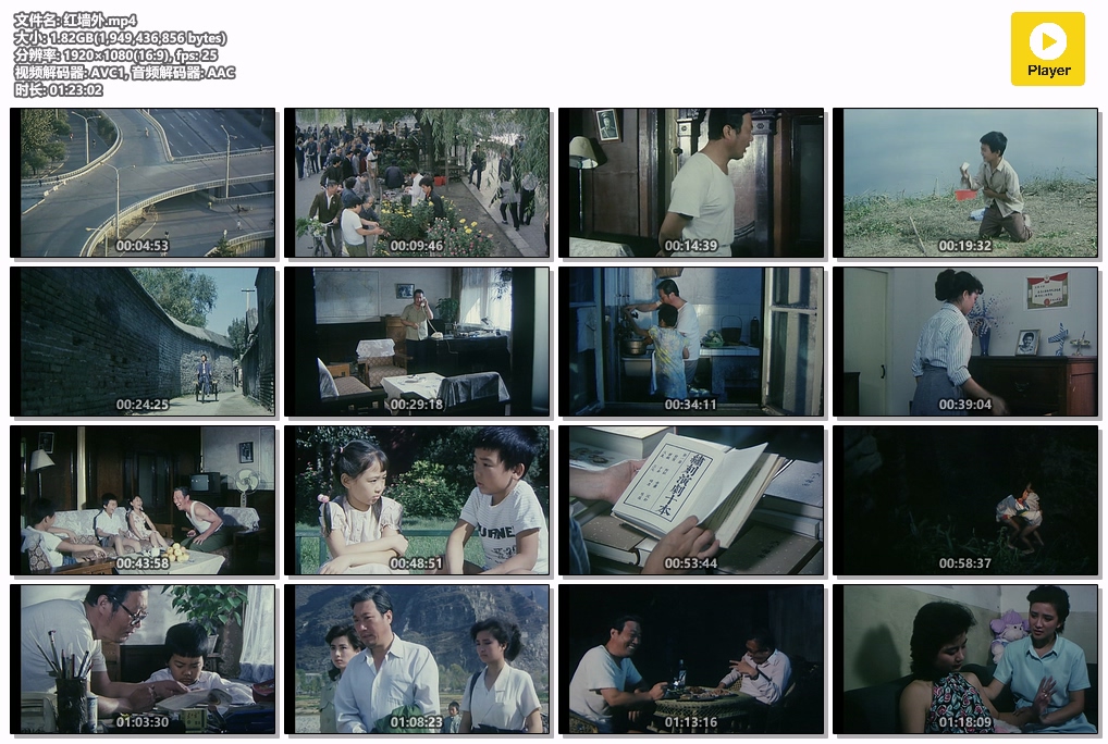 红墙外.mp4.jpg