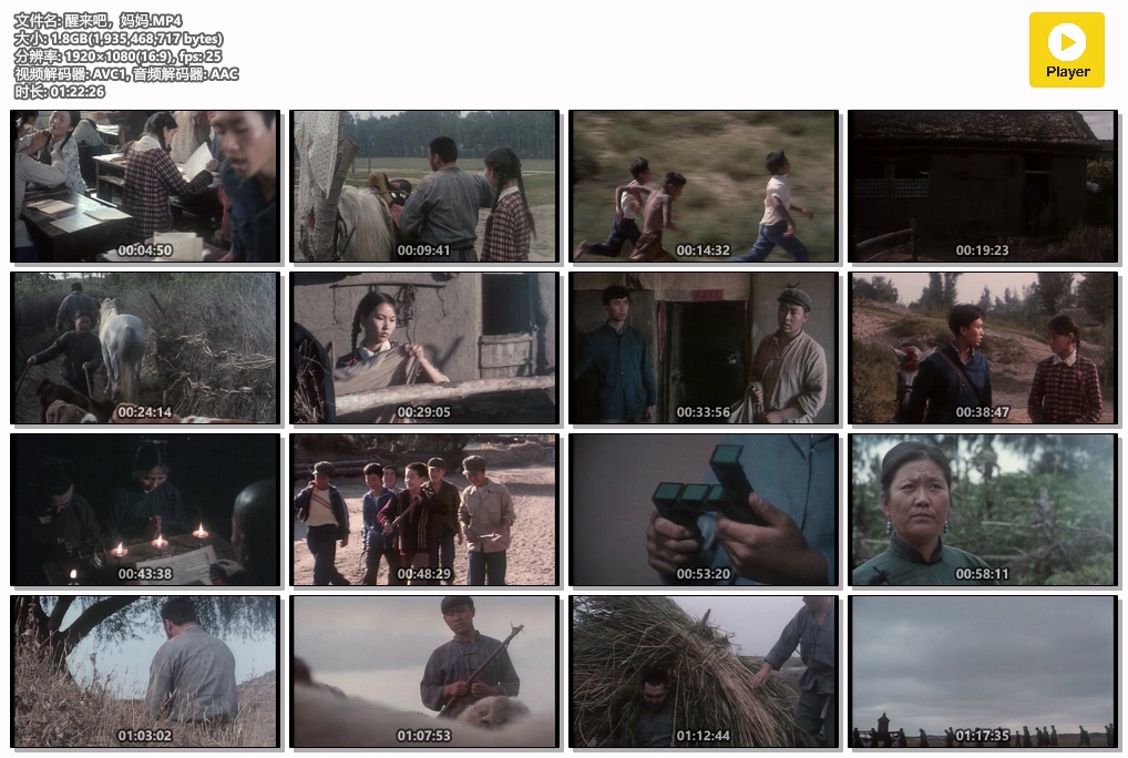 醒来吧，妈妈.MP4.jpg