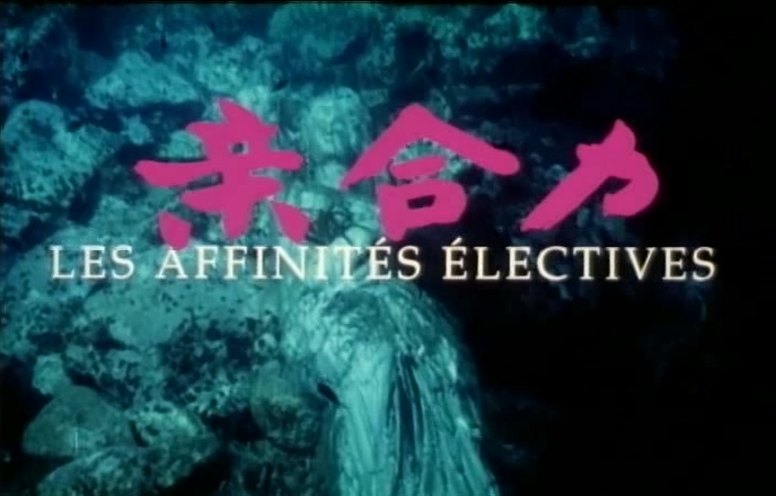 huhupan11429上译国语.1996.DVDRip.XviD.ac3.jyt.avi_20250531_170105.022.jpg