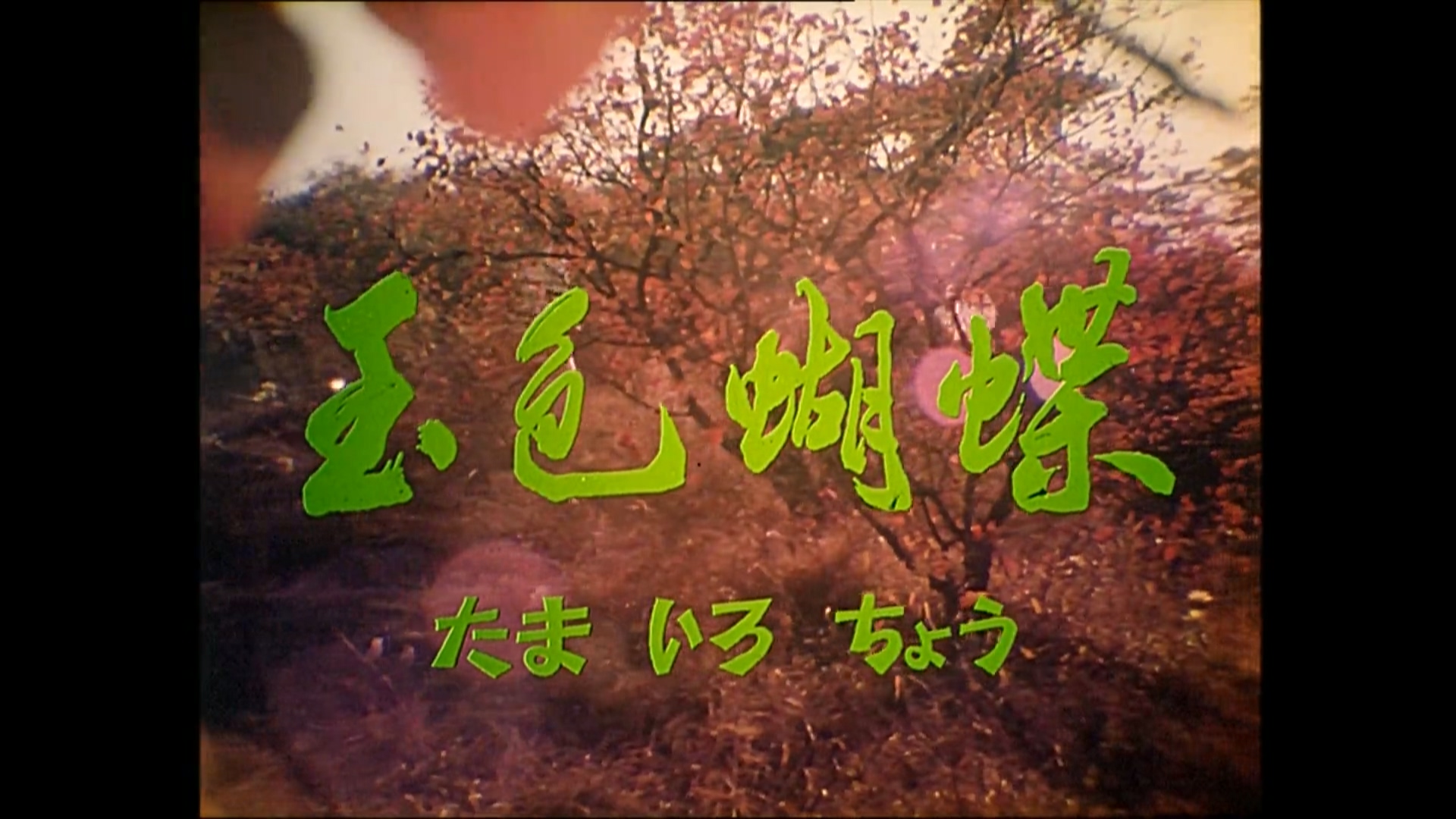 玉色蝴蝶.mp4_20250531_184821.632.jpg