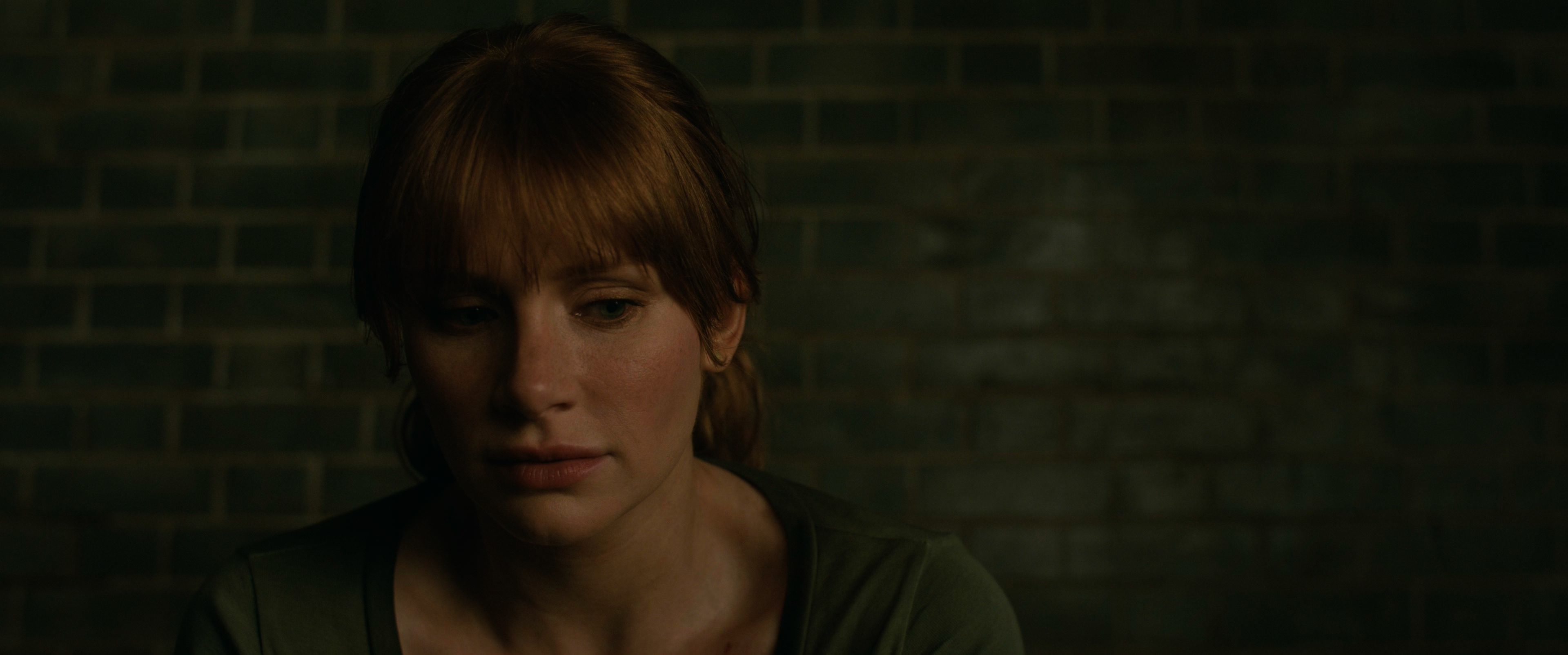 Jurassic.World.Fallen.Kingdom.2018.BluRay.2160p.x265.10bit.HDR.3Audios.mUHD-FRDS.jpg