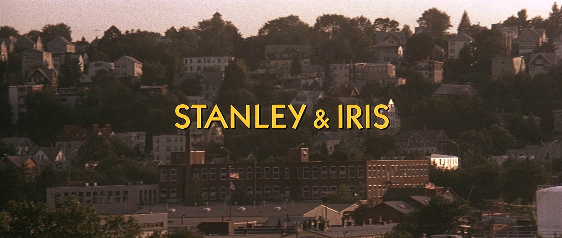 史丹利与爱莉丝.Stanley.&.Iris.1990.1080p.AMZN.WEB-DL.DDP2.0.H264-bylh.mkv_202506.jpg