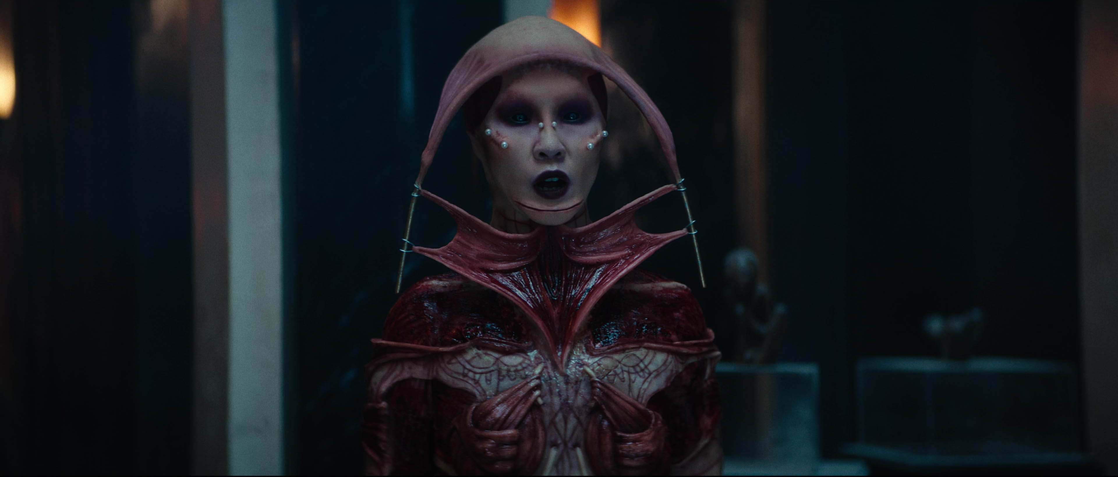 hellraiser.2022.internal.2160p.web.h265-naisu.mkv_20250613_000049.252.jpg