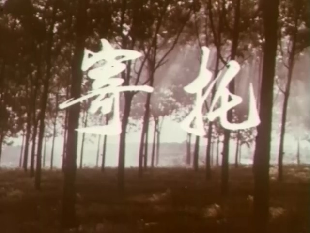 寄托.Expectation.1976.DVD.X264.AAC(0：-)-.mkv_20250615_164815.354.jpg