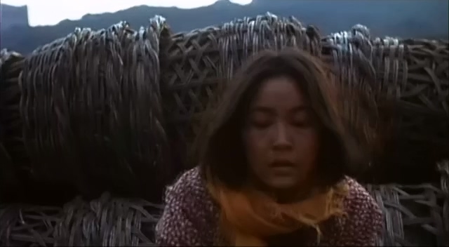 二嫫.Ermo.1994.DVD.X264.AAC.HALFCD.mkv_20250615_221745.870.jpg