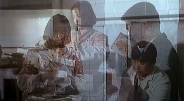 二嫫.Ermo.1994.DVD.X264.AAC.HALFCD.mkv_20250615_221814.557.jpg