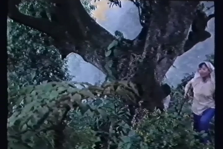 林莽寻踪(1987).mkv_20250616_180655.960.jpg