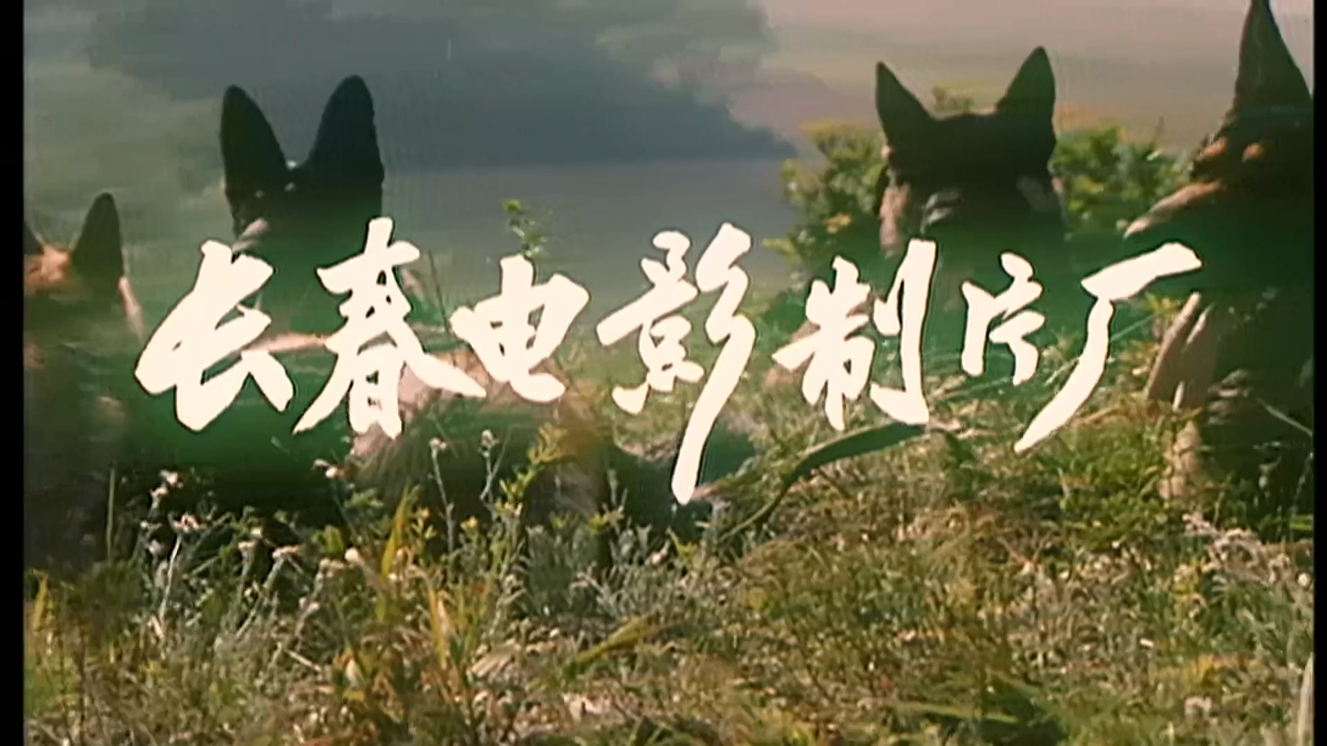 狼犬历险记.mp4_20250616_185143.406.jpg
