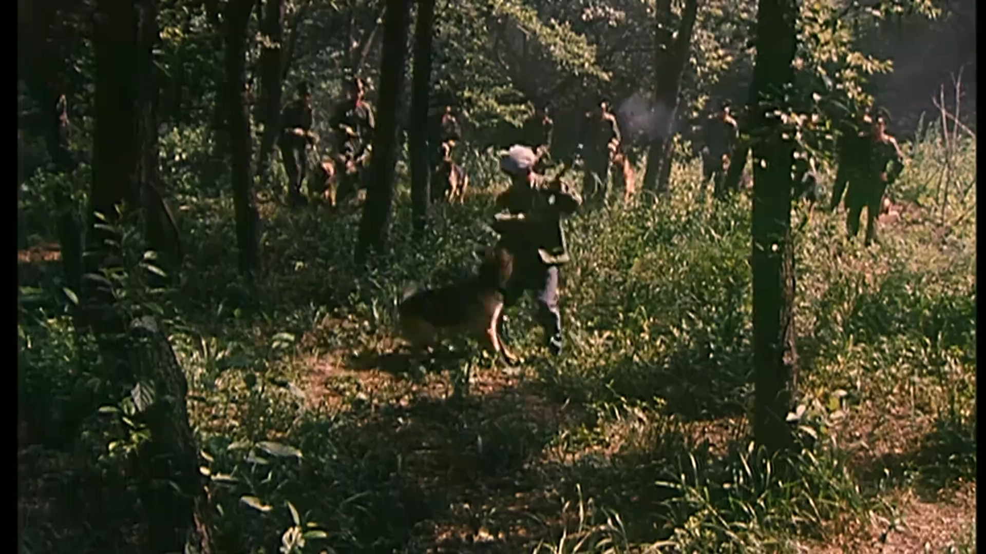 狼犬历险记.mp4_20250616_185204.949.jpg