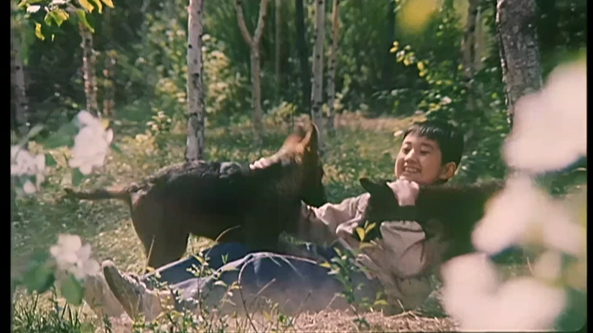 狼犬历险记.mp4_20250616_185327.456.jpg