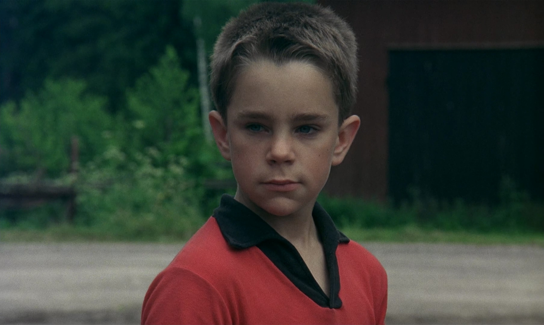 My.Life.as.a.Dog.1985.Criterion.Collection.BluRay.1080p.LPCM.1.0.x265.10bit-Drea.jpg