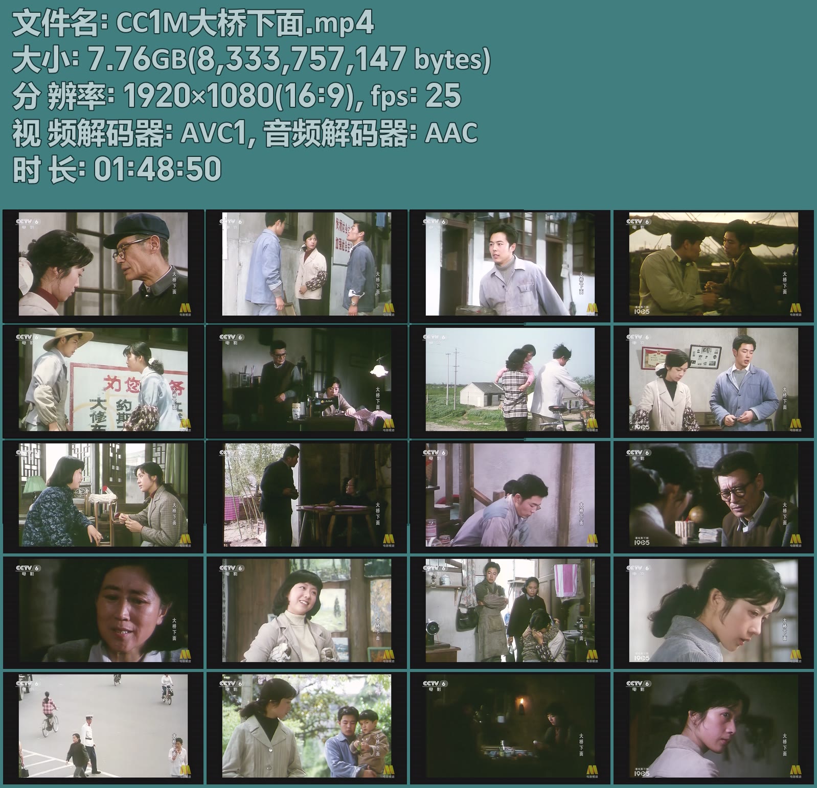 CC1M大桥下面.mp4.jpg