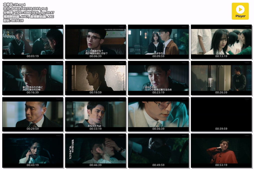 光渊.日版.国语.日字.29.mp4.jpg