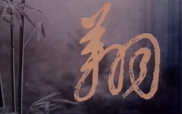 翔.Flying.1982.DVD.X264.AAC.mkv_20250623_184200.140.jpg