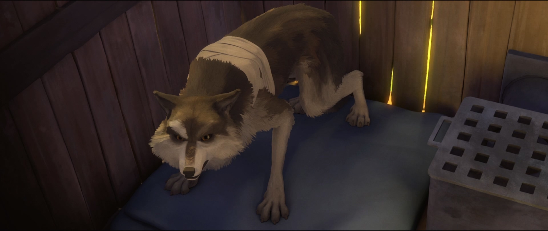 白牙.White.Fang.2018.1080p.BluRay.H264.AAC.384kbps央视国英双语双字.mkv_20250624_.jpg