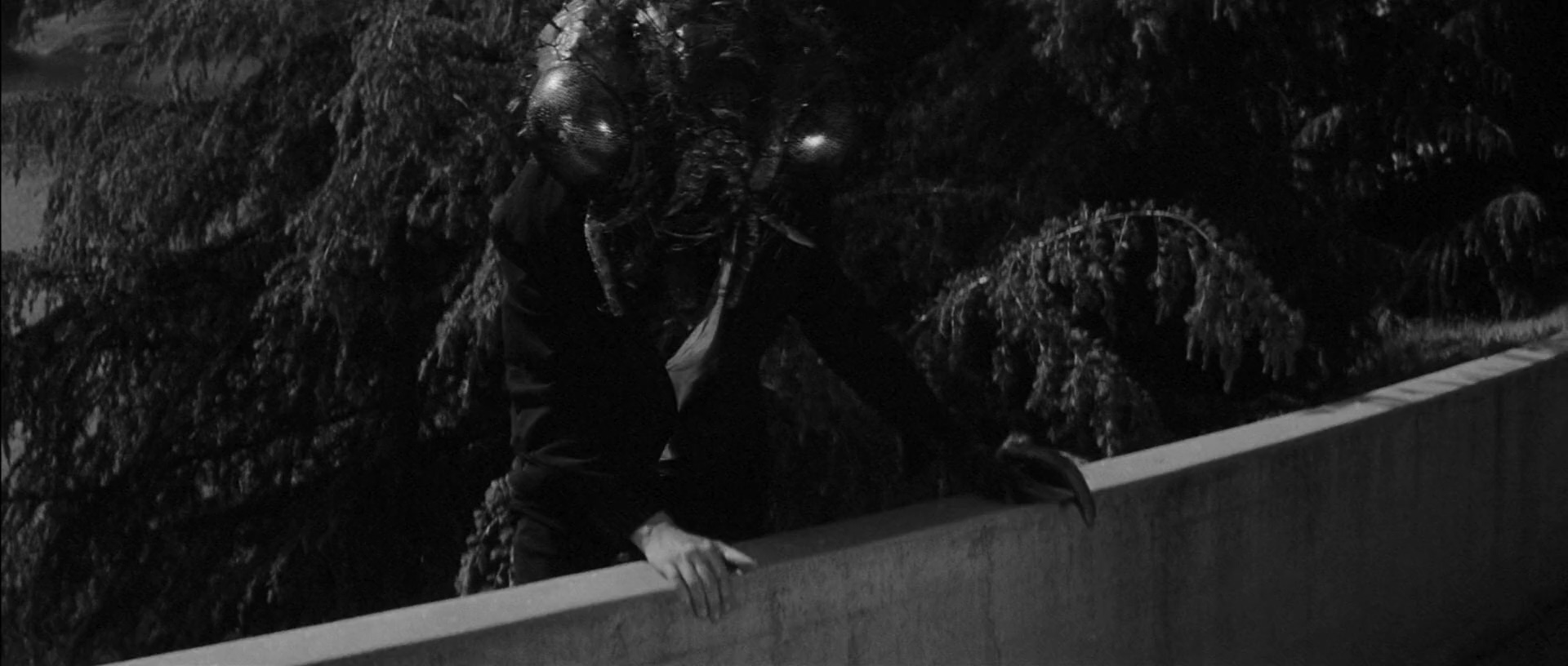 变蝇人老版2.Return.of.the.Fly.1959.CN.mkv_20250629_203434.904.jpg